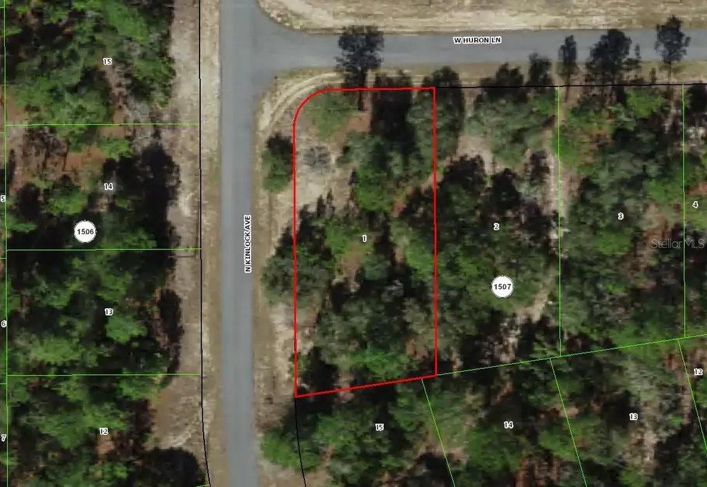2896 W Huron Lane Dunnellon FL 34433