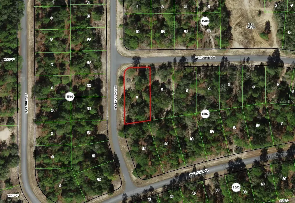 2896 W Huron Lane Dunnellon FL 34433