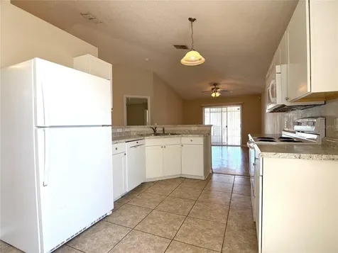 309 Catfish Drive Davenport FL 33897