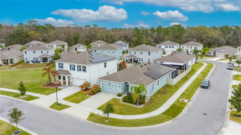 33146 Sand Creek Drive Wesley Chapel FL 33543