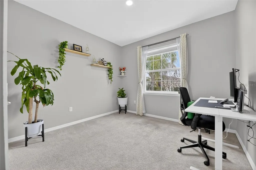 33146 Sand Creek Drive Wesley Chapel FL 33543