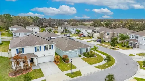 33146 Sand Creek Drive Wesley Chapel FL 33543