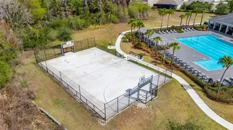 33146 Sand Creek Drive Wesley Chapel FL 33543