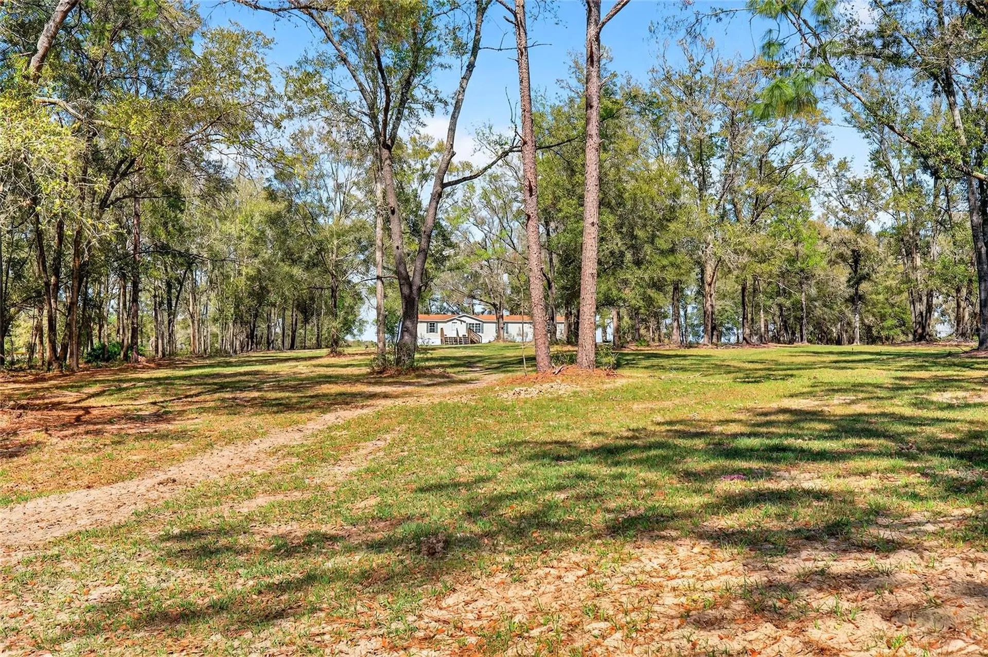10427 NW 8th Lane Ocala FL 34482