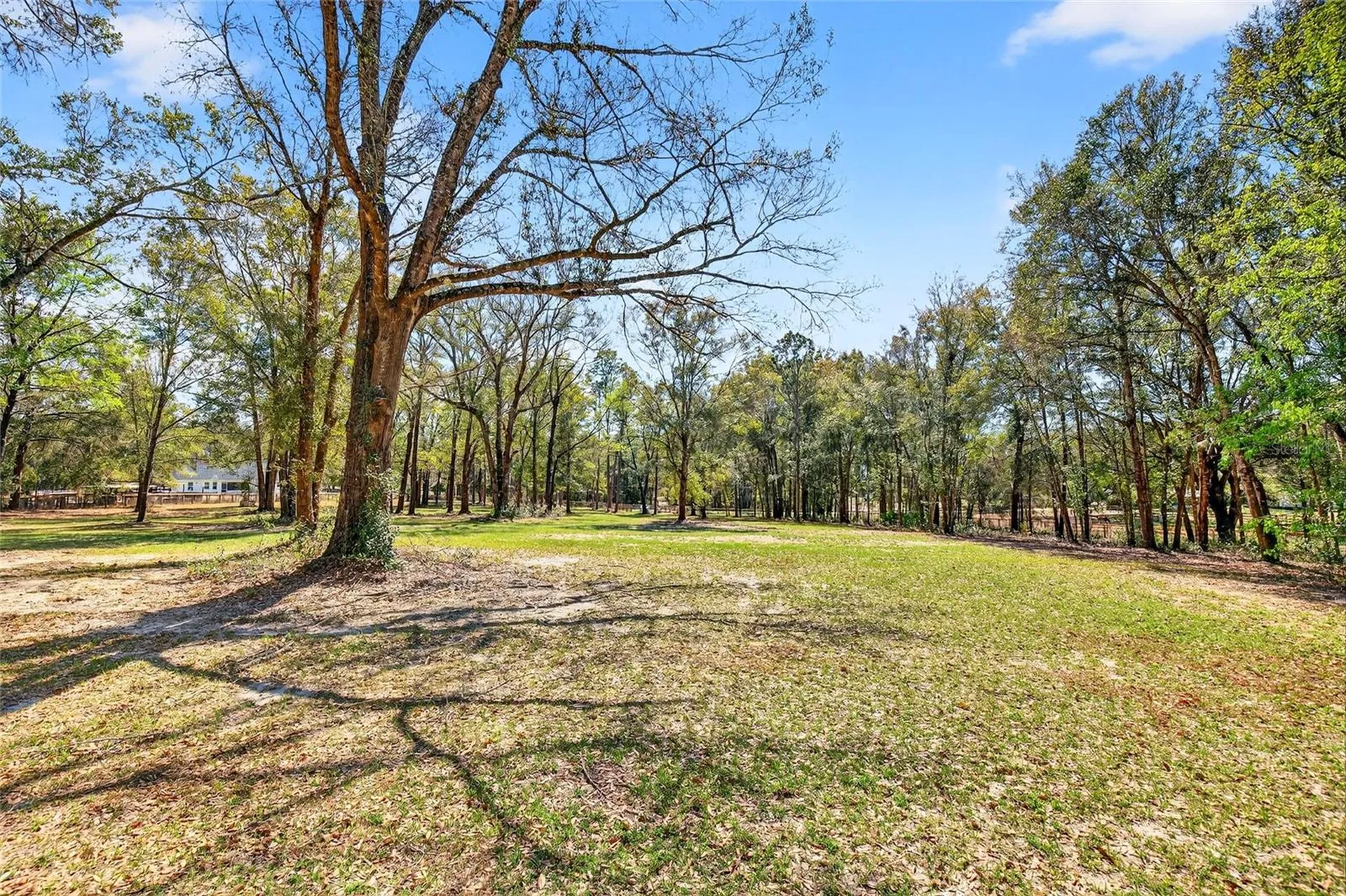 10427 NW 8th Lane Ocala FL 34482