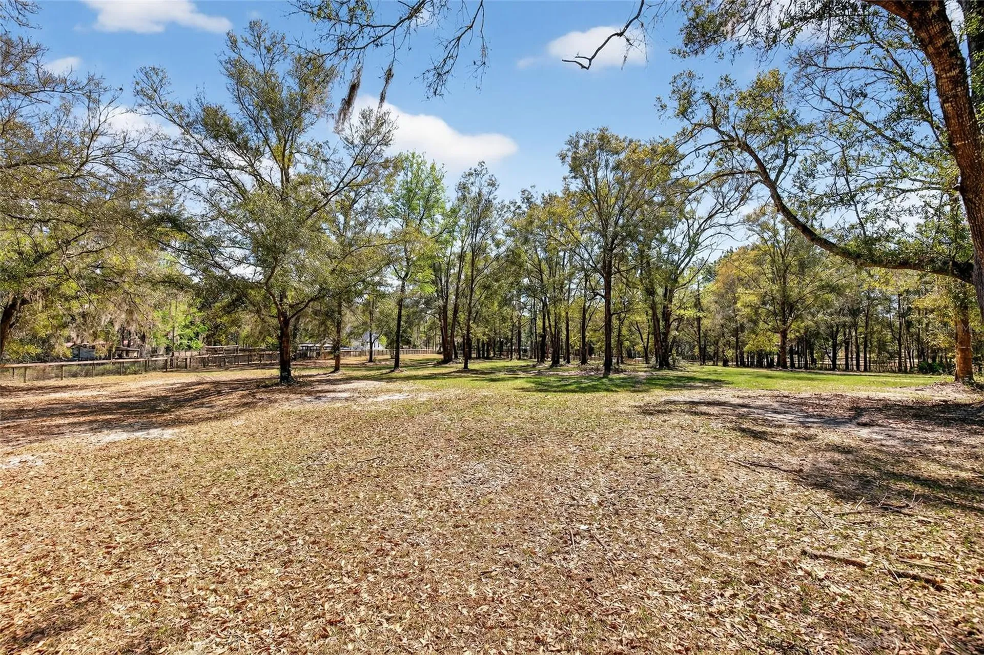 10427 NW 8th Lane Ocala FL 34482