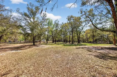 10427 NW 8th Lane Ocala FL 34482