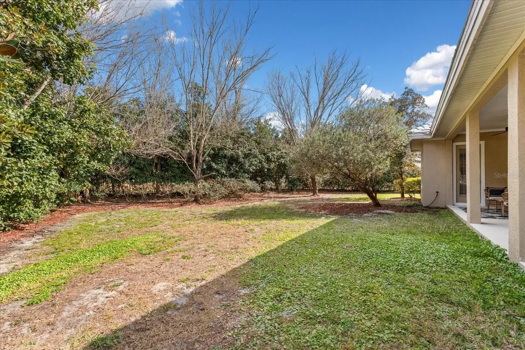 25516 Hawks Run Lane Sorrento FL 32776
