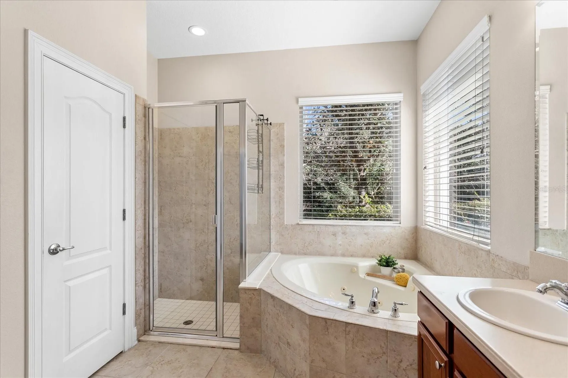 25516 Hawks Run Lane Sorrento FL 32776