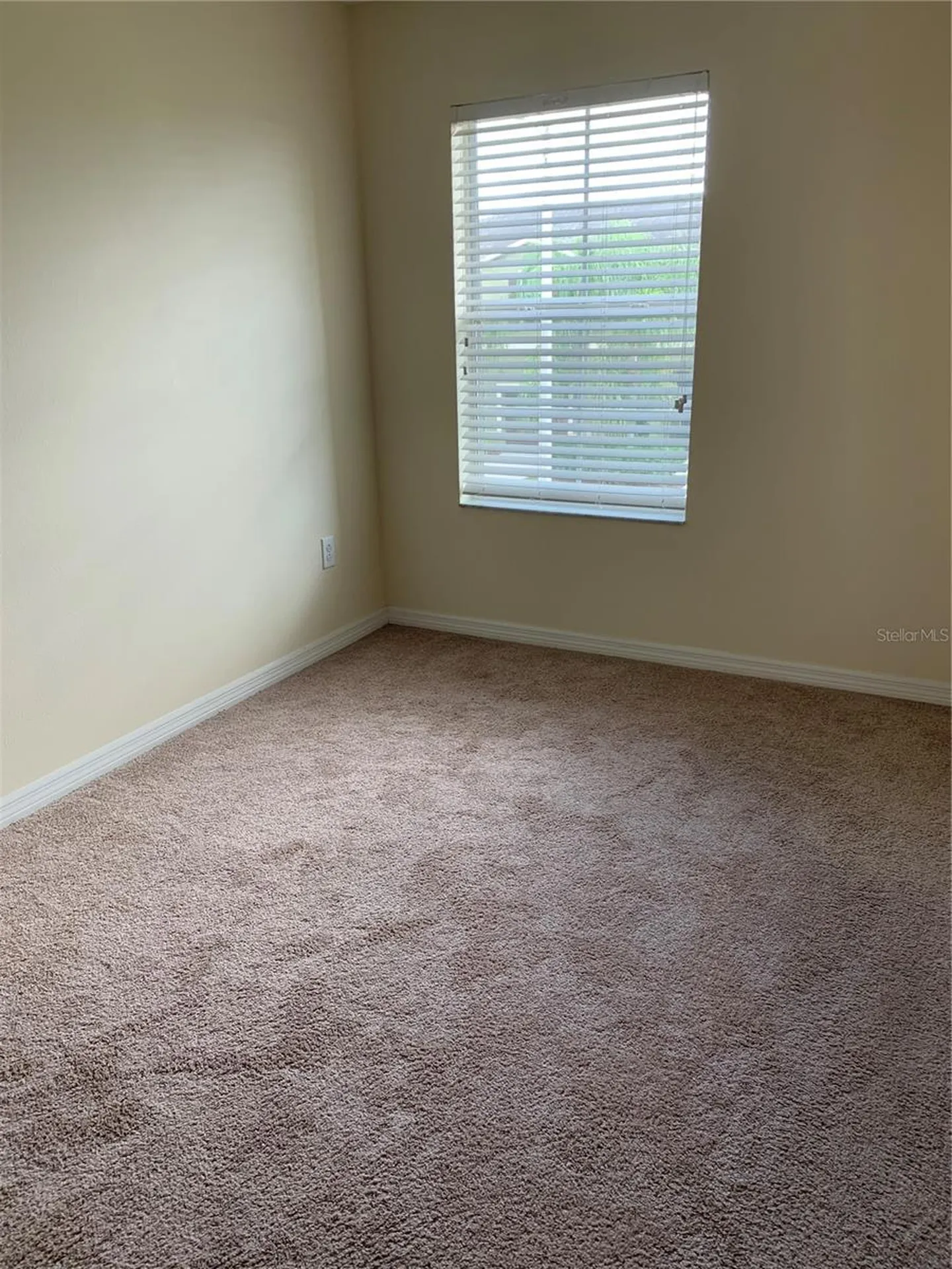 2621 Lantern Hill Avenue Brandon FL 33511