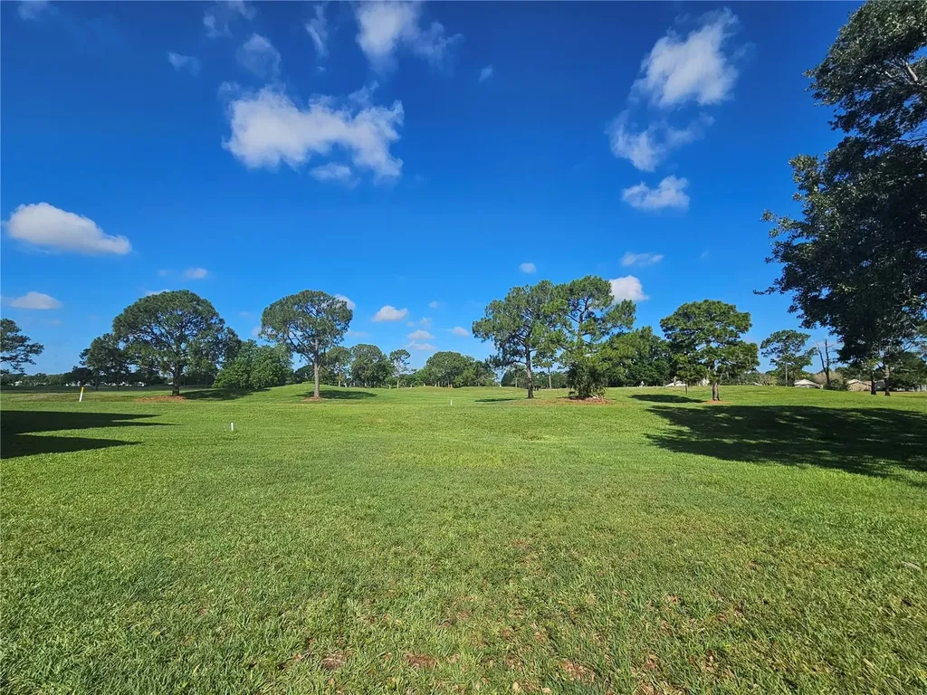13838 Fairway Island Drive Orlando FL 32837
