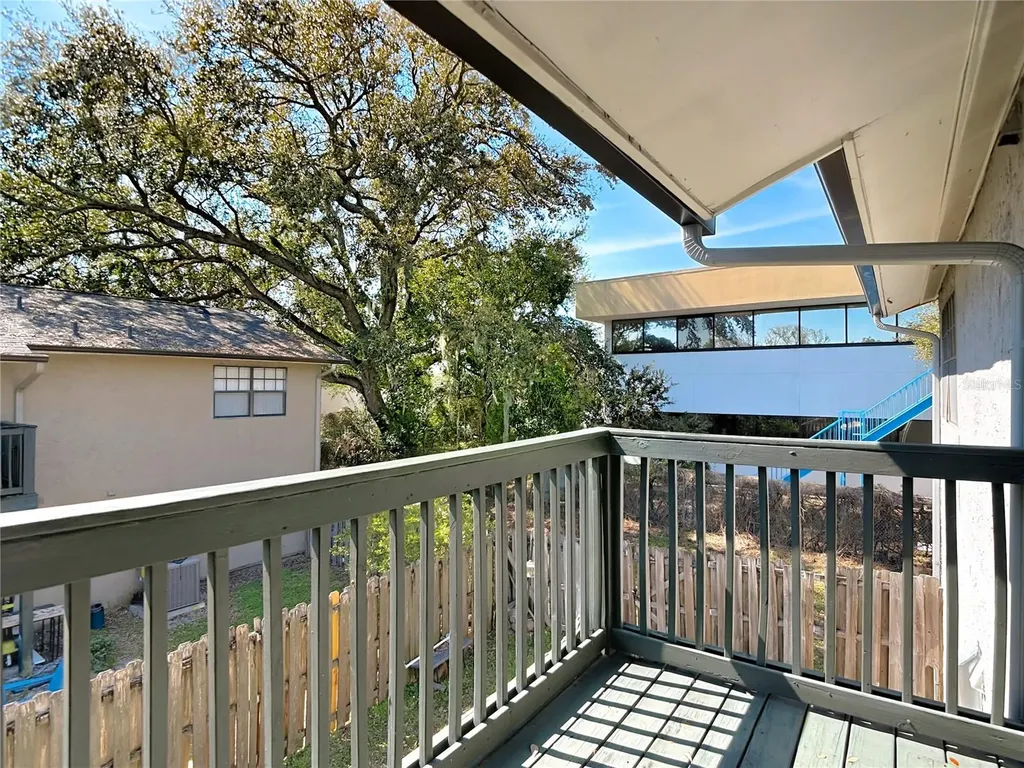 201 Pine Violet Court Tampa FL 33612