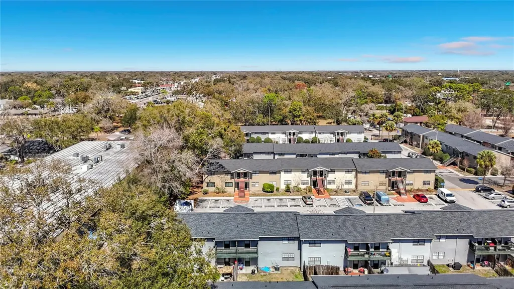 201 Pine Violet Court Tampa FL 33612