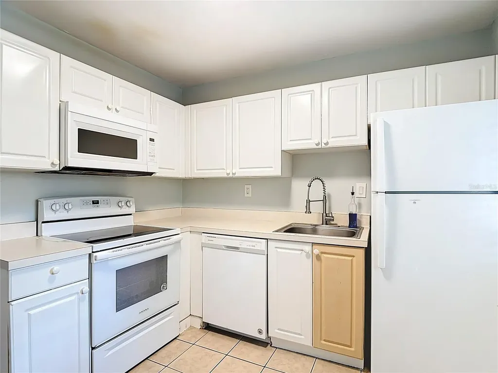 201 Pine Violet Court Tampa FL 33612