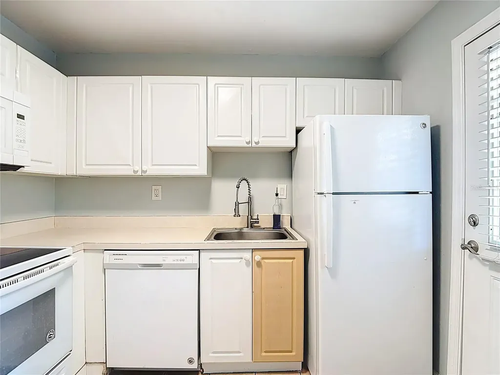 201 Pine Violet Court Tampa FL 33612