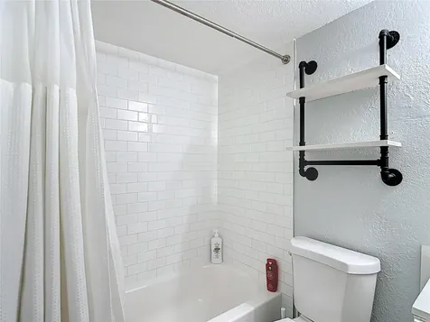 201 Pine Violet Court Tampa FL 33612