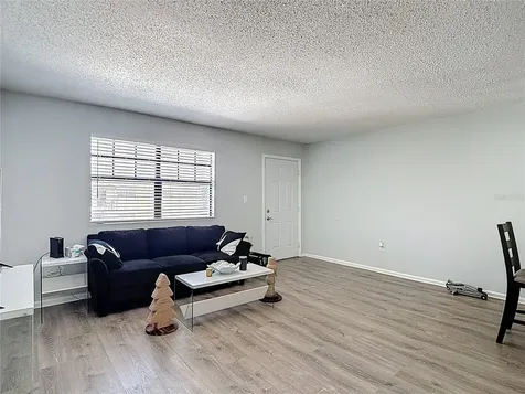 201 Pine Violet Court Tampa FL 33612