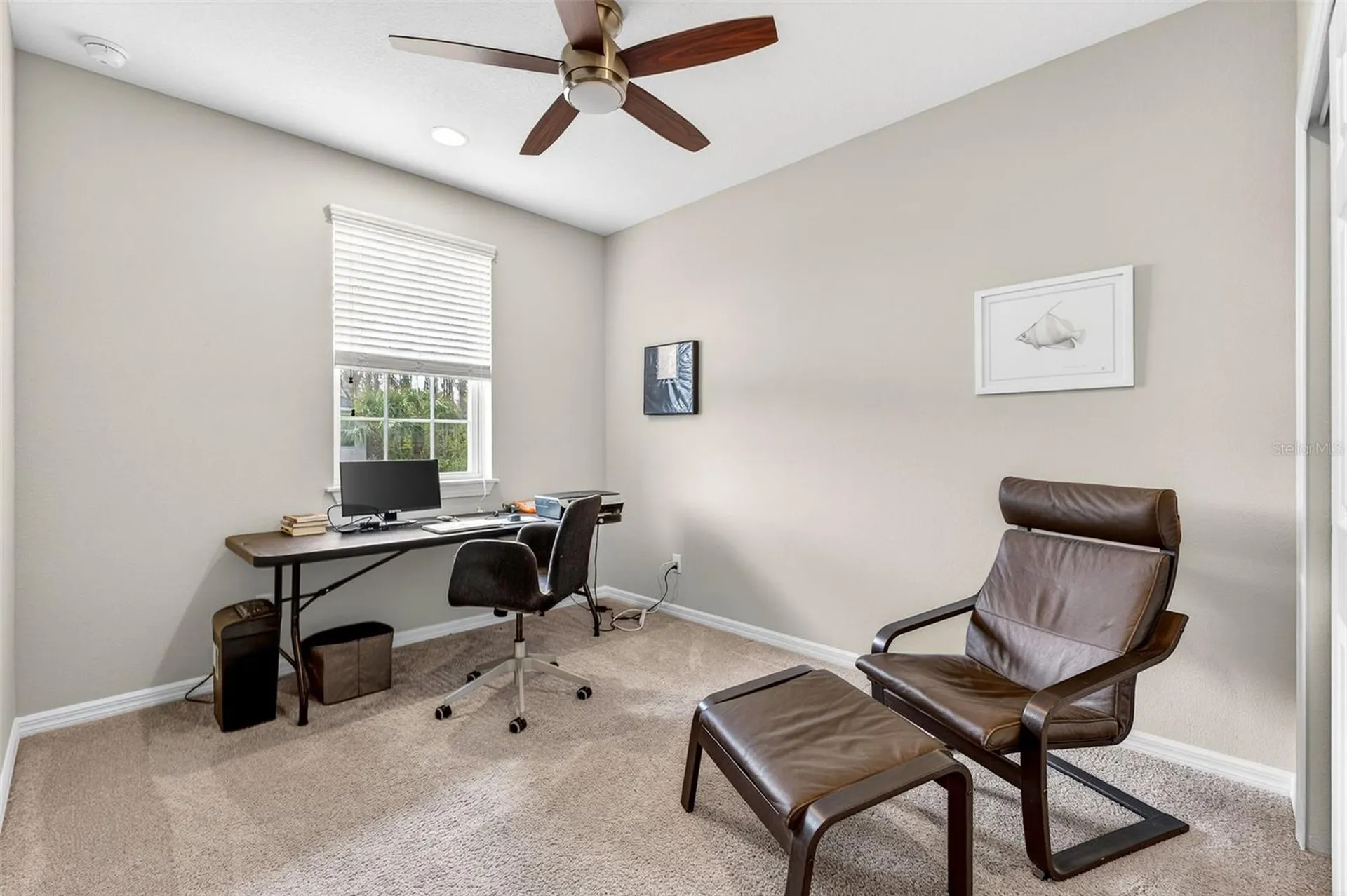904 Vineyard Lane Oldsmar FL 34677