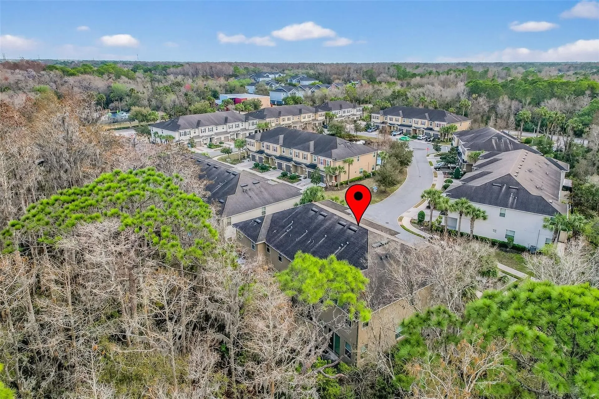 904 Vineyard Lane Oldsmar FL 34677