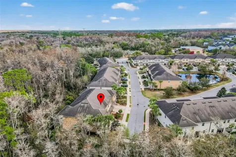 904 Vineyard Lane Oldsmar FL 34677