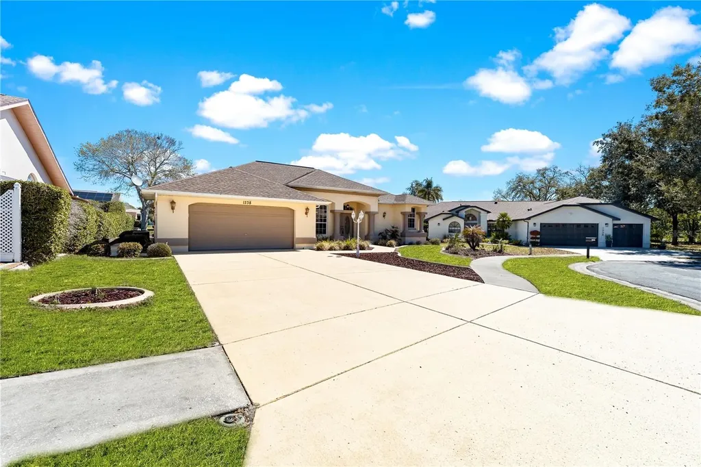 1238 Masada Lane Spring Hill FL 34608