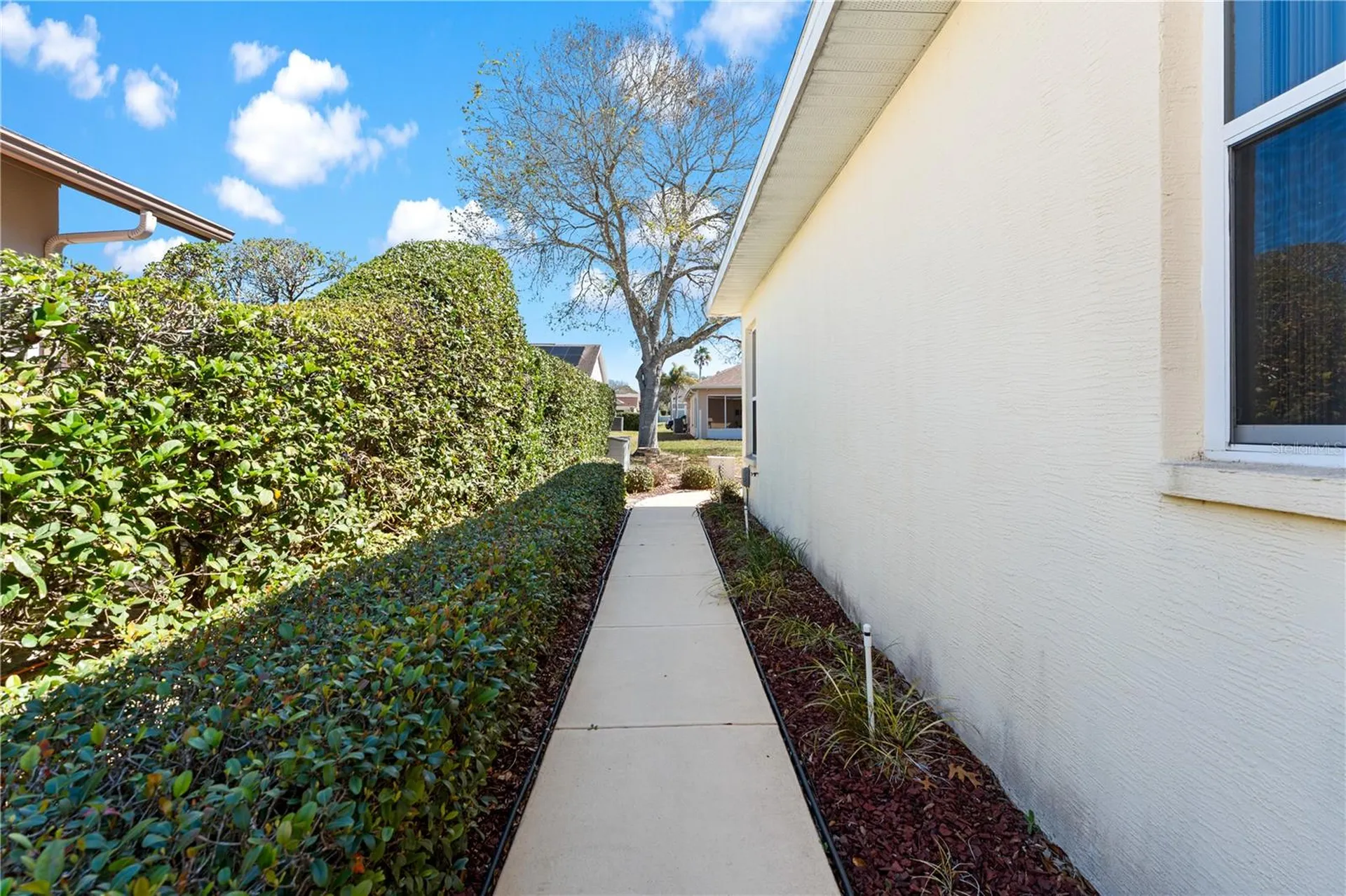 1238 Masada Lane Spring Hill FL 34608