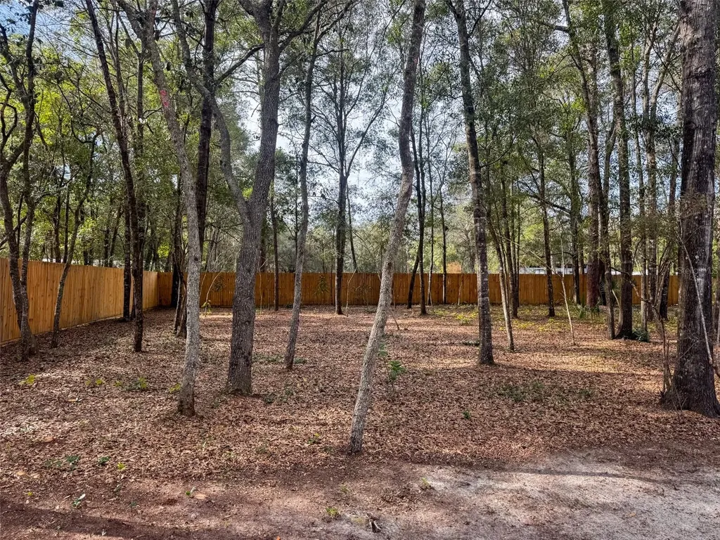 119 Pine Trail Melrose FL 32666