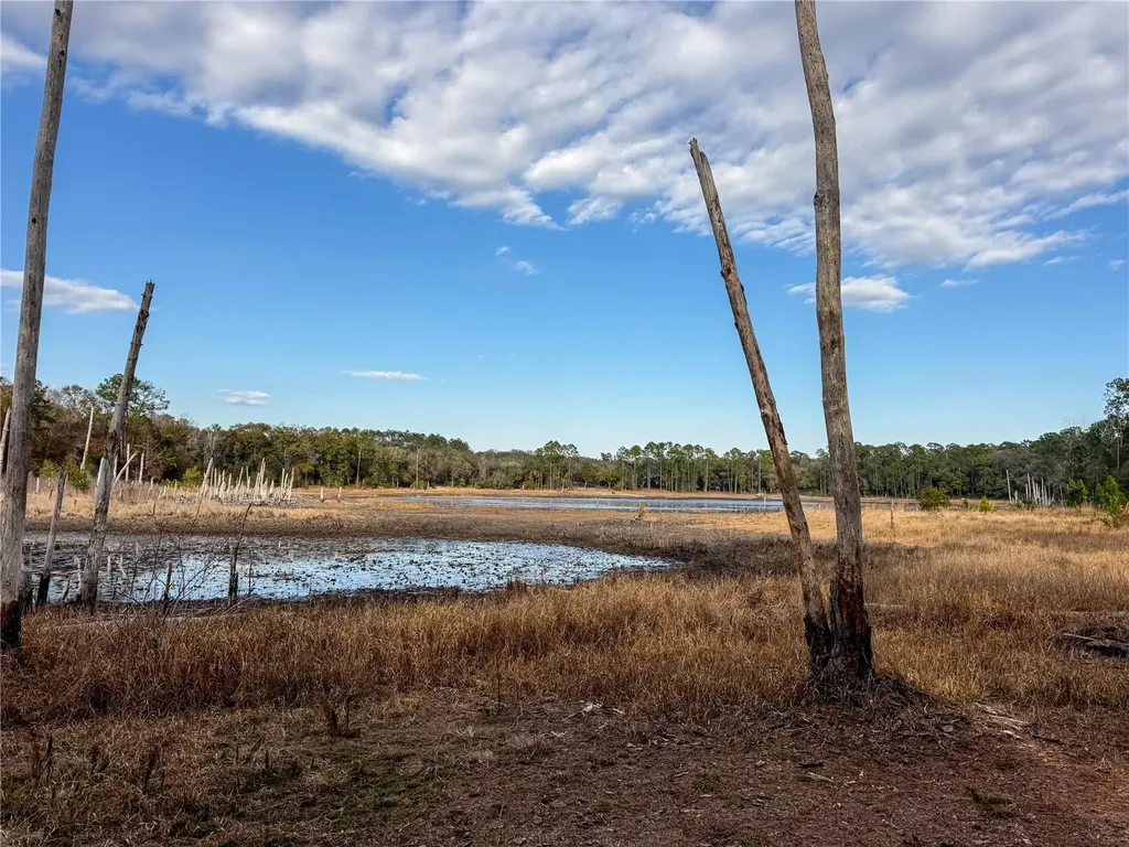 114 Mandarin Lake Road Melrose FL 32666