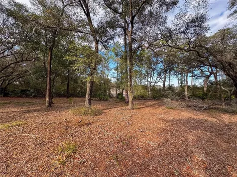 114 Mandarin Lake Road Melrose FL 32666