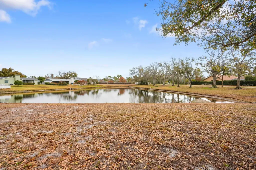 12910 Leadwood Drive Riverview FL 33579