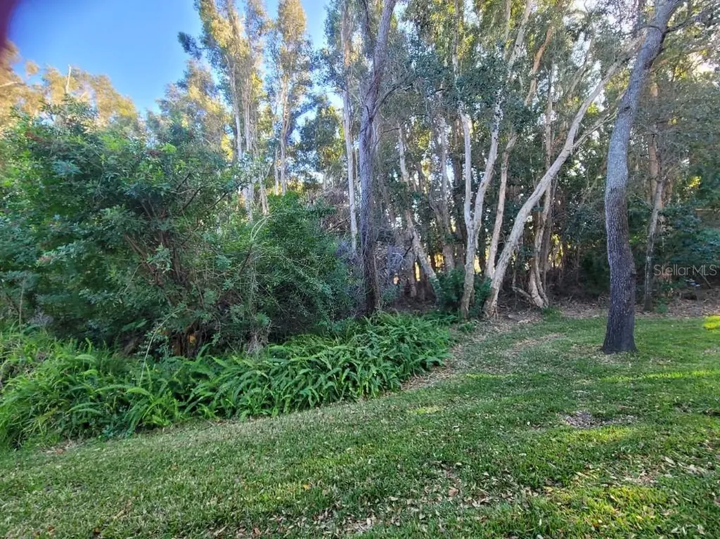 820 Lantern Way Clearwater FL 33765