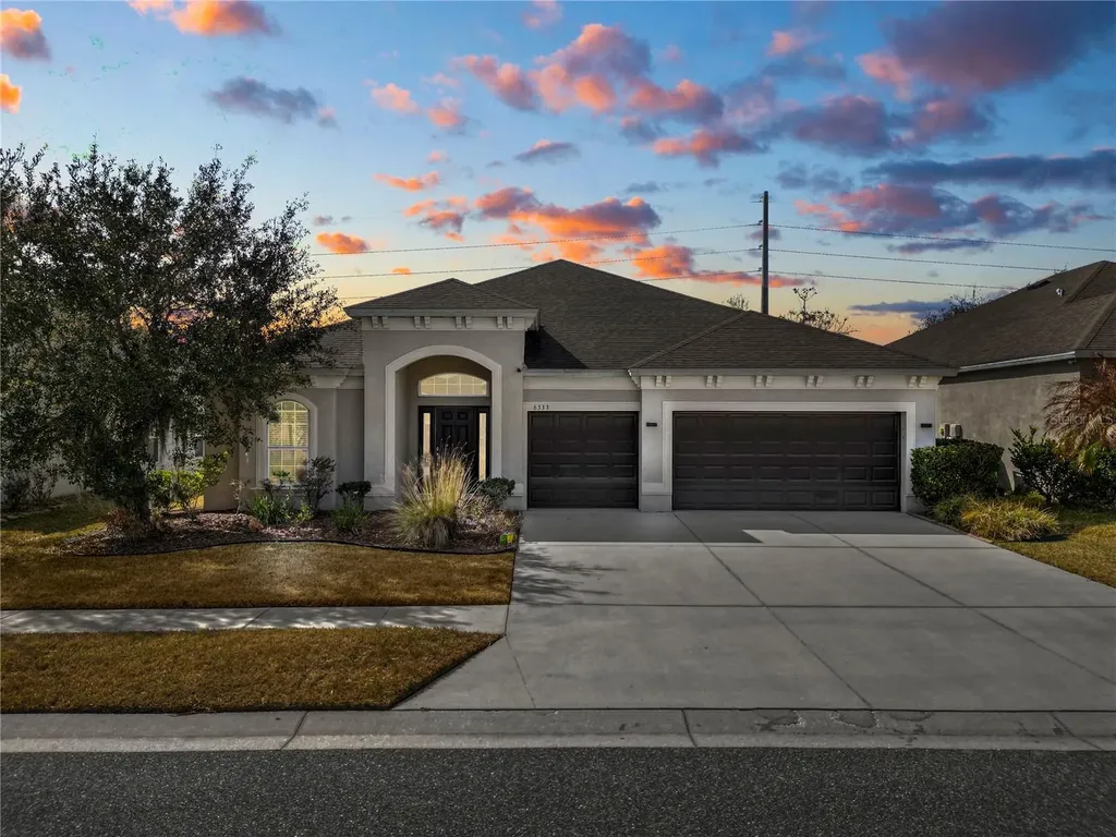 6333 Doe Path Court Wesley Chapel FL 33545