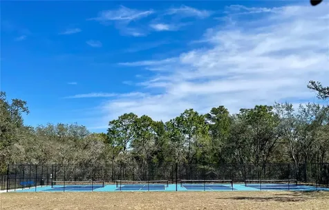 3458 Autumn Amber Drive Spring Hill FL 34609
