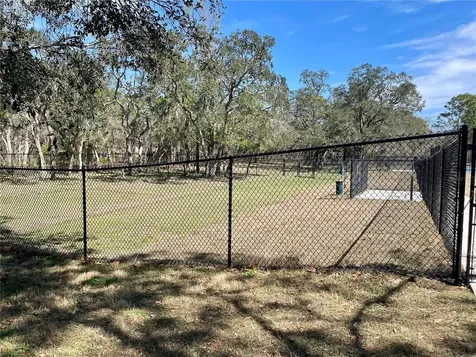 3458 Autumn Amber Drive Spring Hill FL 34609