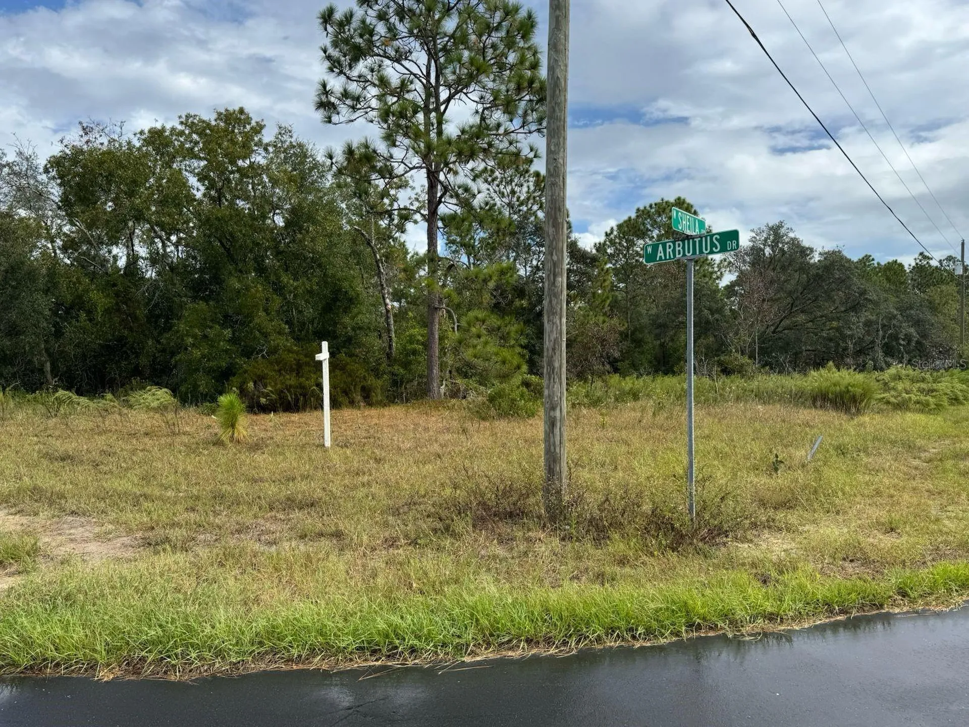 2845 W Sheila Drive Citrus Springs FL 34433