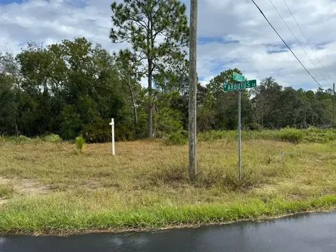 2845 W Sheila Drive Citrus Springs FL 34433