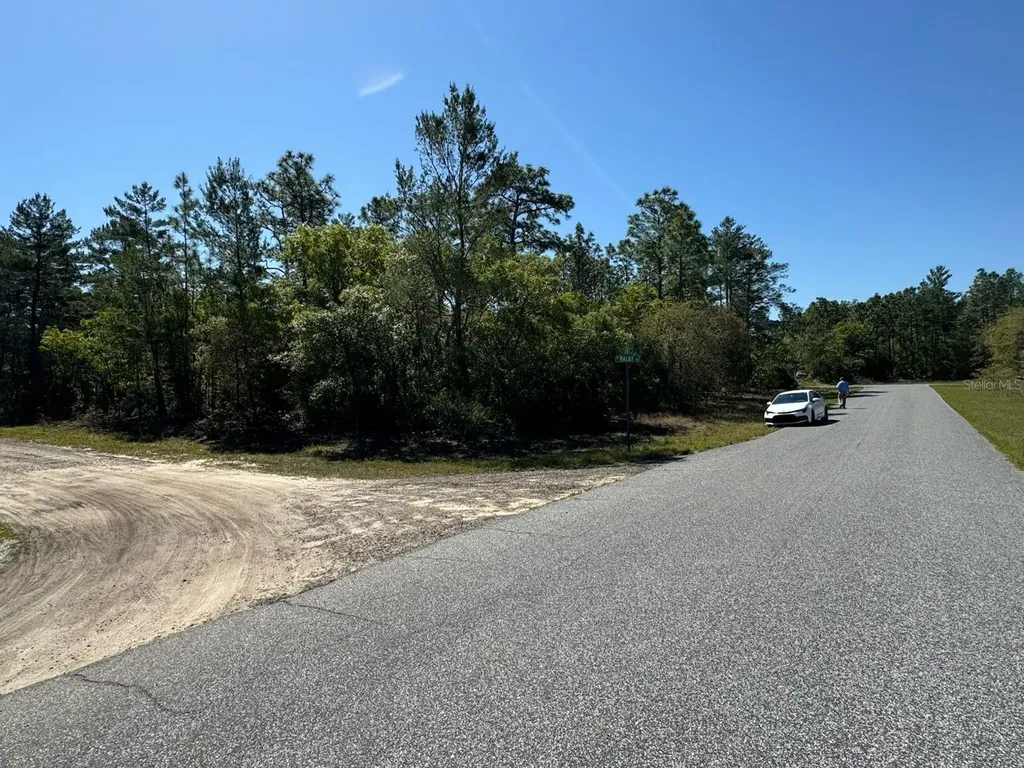 3861 W Malby Lane Dunnellon FL 34433