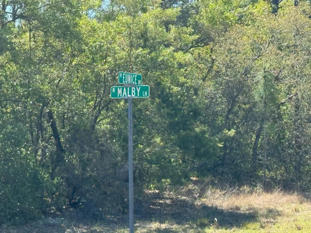 3861 W Malby Lane Dunnellon FL 34433