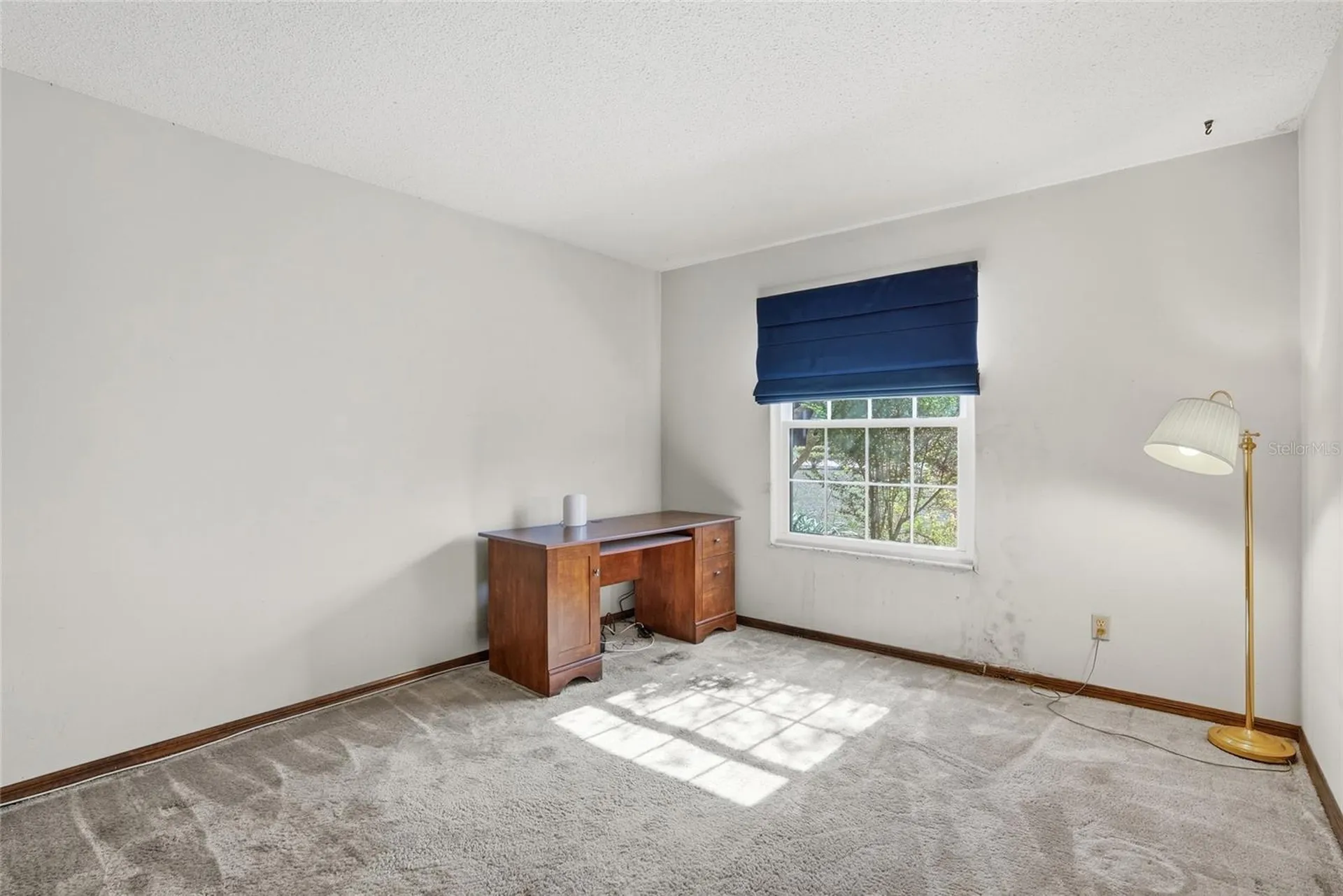 10225 Evening Trail Drive Riverview FL 33569
