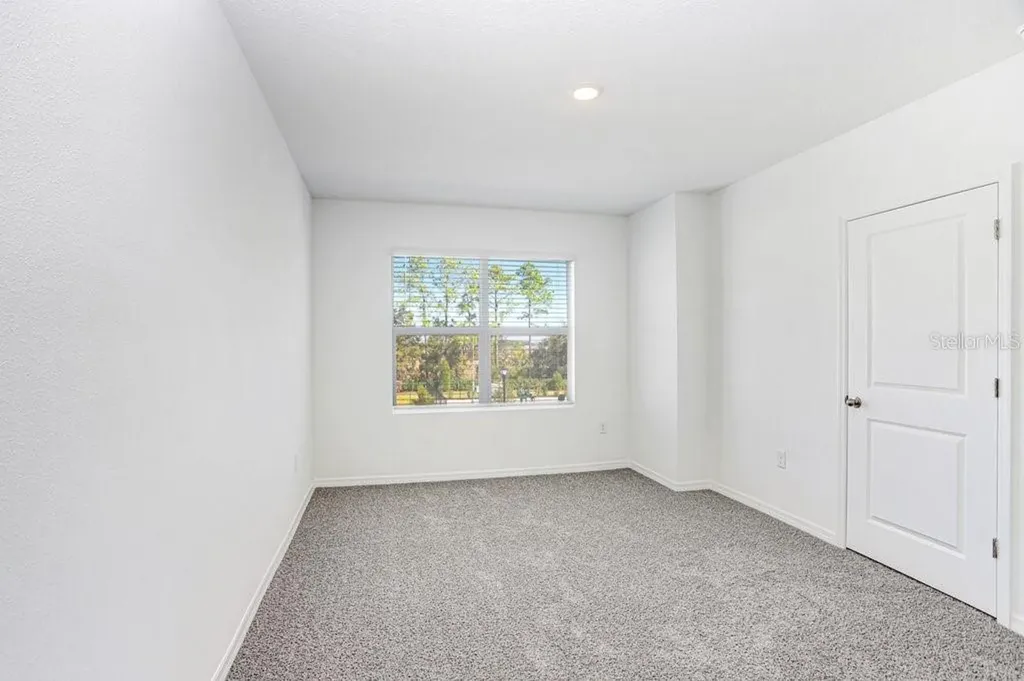 31298 Paper Birch Street Wesley Chapel FL 33545