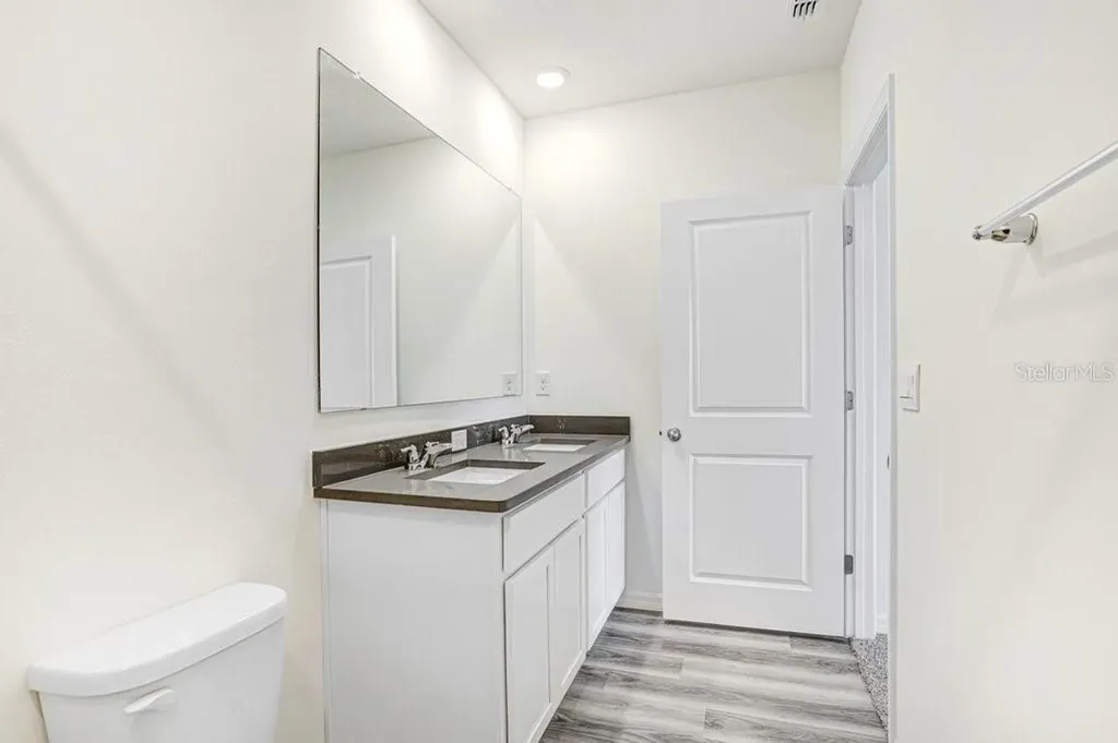 31298 Paper Birch Street Wesley Chapel FL 33545