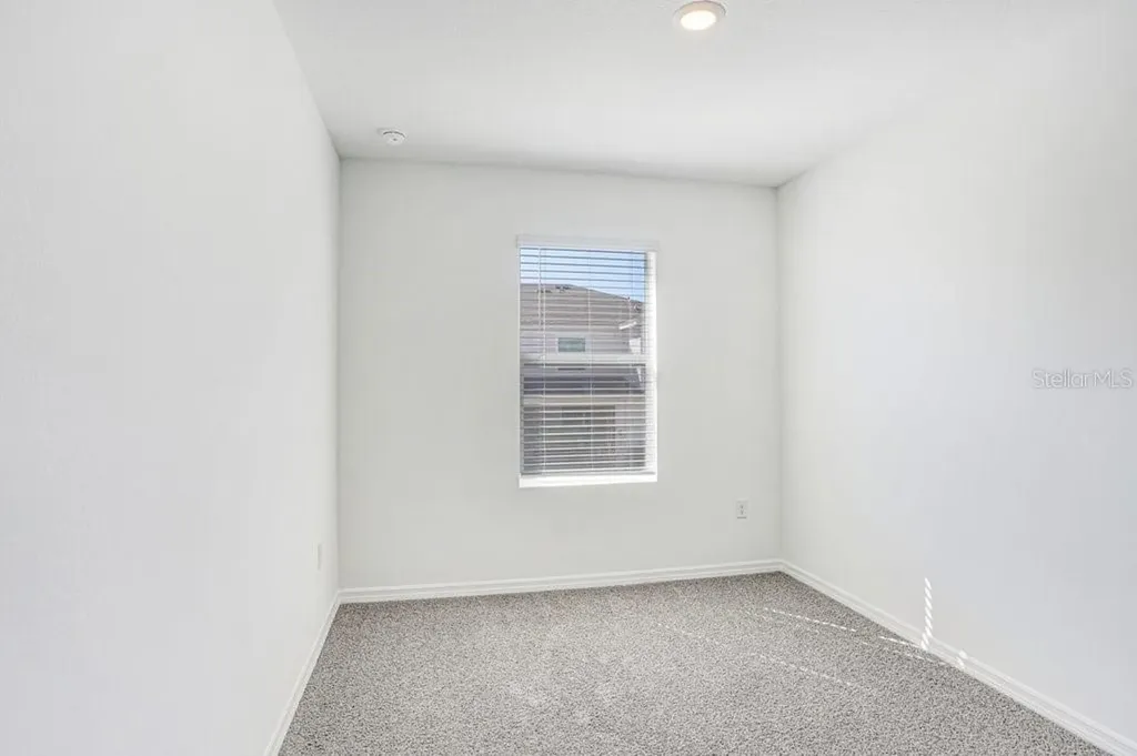 31298 Paper Birch Street Wesley Chapel FL 33545
