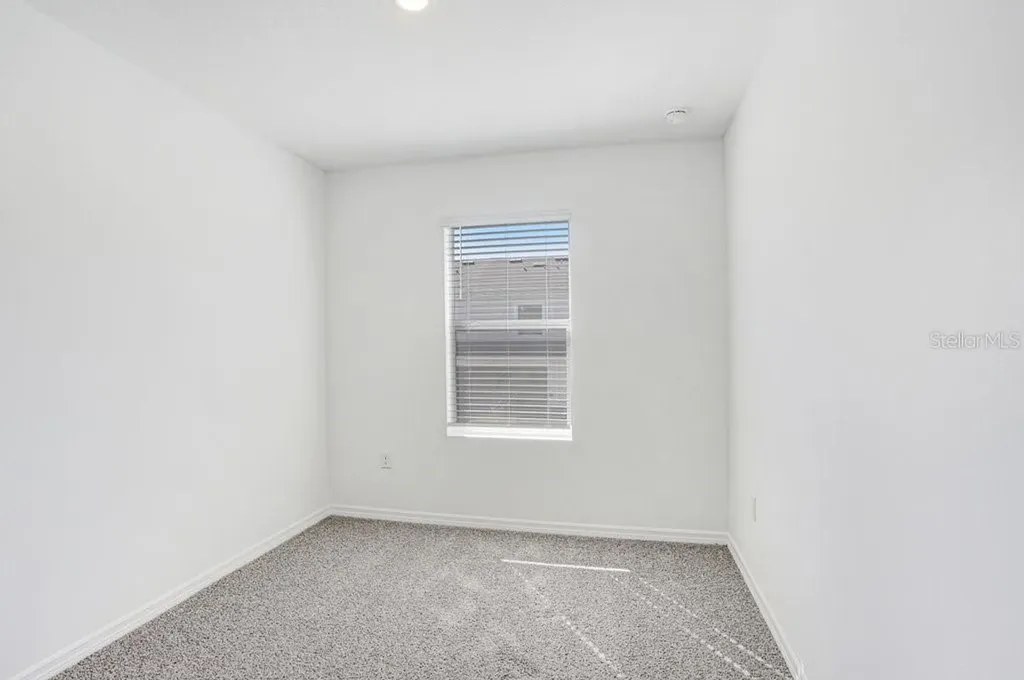 31298 Paper Birch Street Wesley Chapel FL 33545