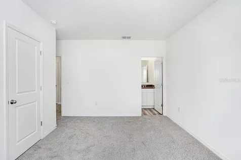 31298 Paper Birch Street Wesley Chapel FL 33545
