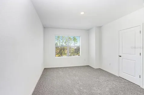 31298 Paper Birch Street Wesley Chapel FL 33545