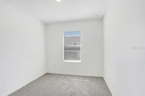31298 Paper Birch Street Wesley Chapel FL 33545