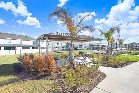 31298 Paper Birch Street Wesley Chapel FL 33545