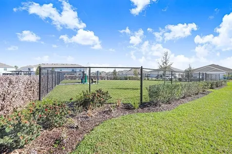 31298 Paper Birch Street Wesley Chapel FL 33545
