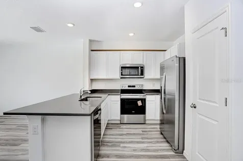 31298 Paper Birch Street Wesley Chapel FL 33545