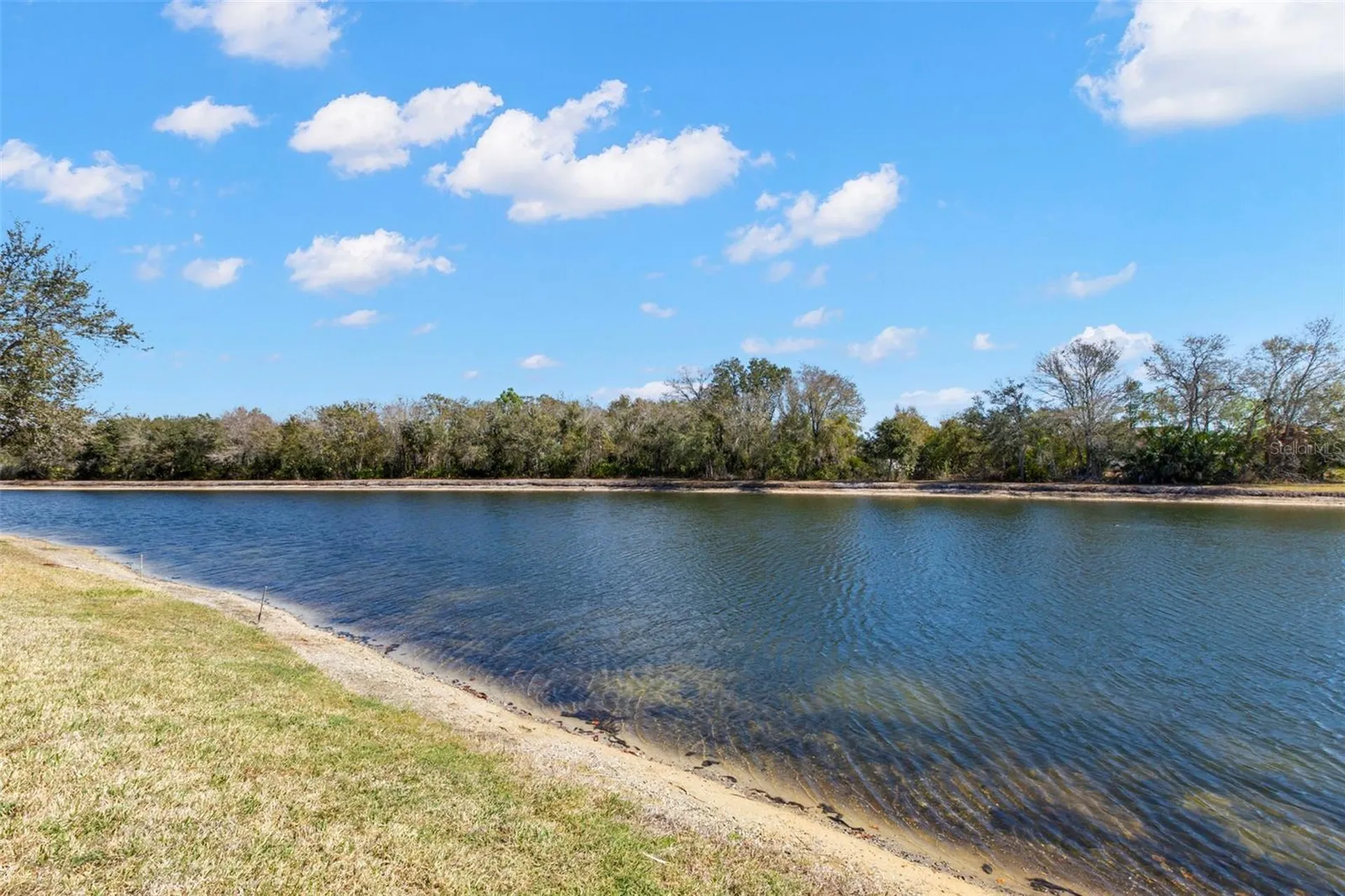 1030 Summer Breeze Drive Brandon FL 33511